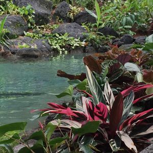 Meet your Posher, Melody